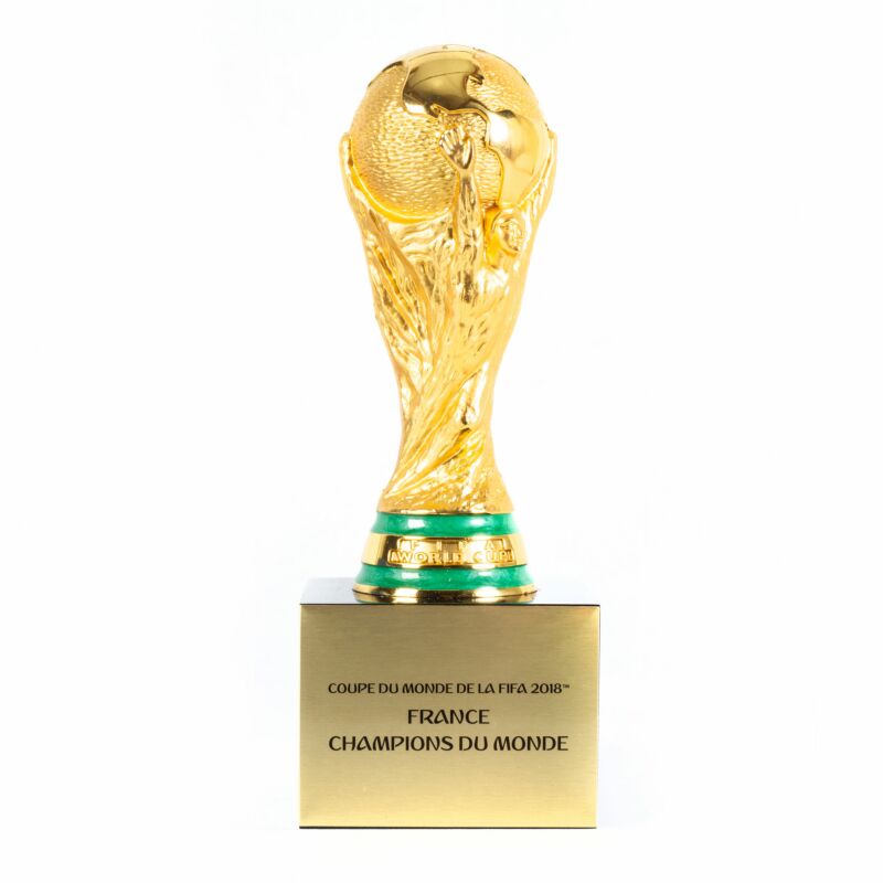 Niet genoeg Onschuld bereiken France FIFA World Cup 2018 Trophy (100mm)