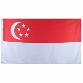 Singapore Large National Flag (90x150cm approx)