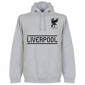 Liverpool Established Hoodie - Grey