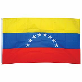 Venezuela Large National Flag (90x150cm approx)