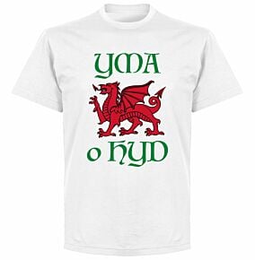 Wales Yma O Hyd KIDS T-shirt - White