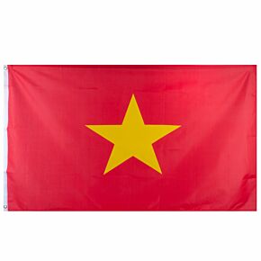 Vietnam Large National Flag (90x150cm approx)