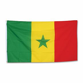 Senegal Large Flag