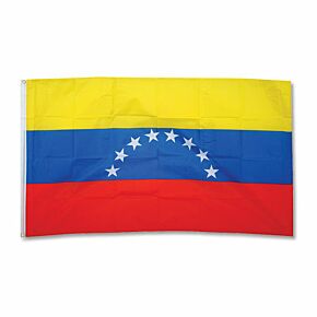 Venezuela Large Flag