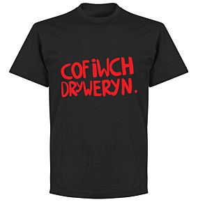 Cofiwch Dryweryn T-Shirt - Black