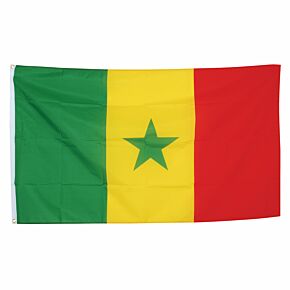 Senegal Large National Flag