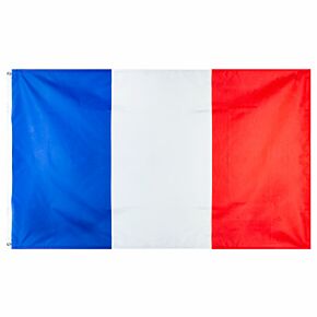 France Large National Flag (90x150cm approx)