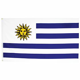 Uruguay Large Flag