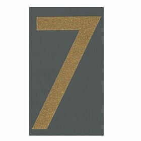 7 (Official Shorts Number)