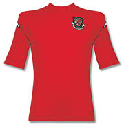 Wales<br>Thuis Voetbalshirt<br>2004 - 2005